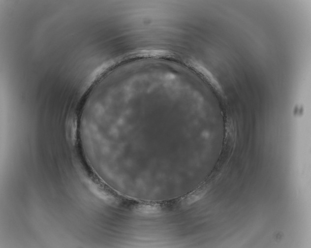 X0000091550110200709141524