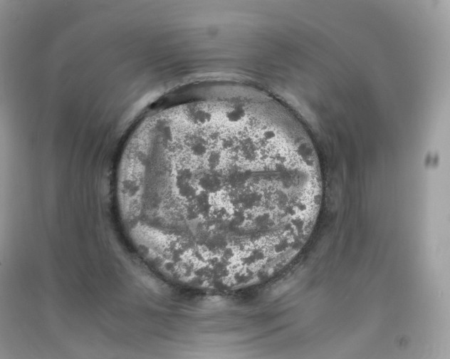 X0000091550111200709141524