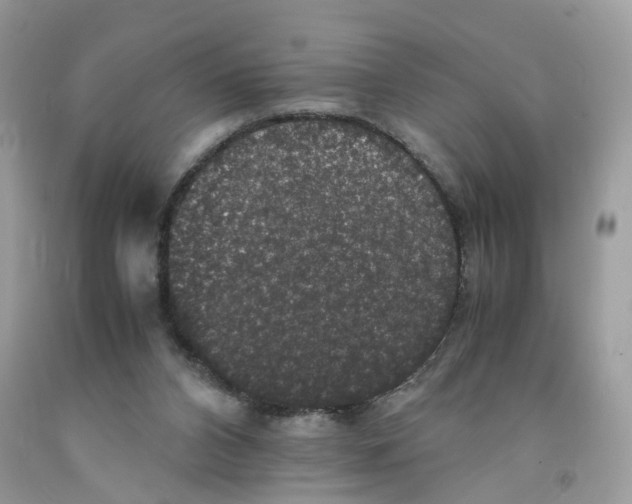 X0000091550112200709141524