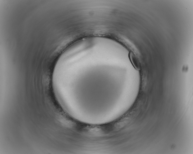 X0000091550113200709141524