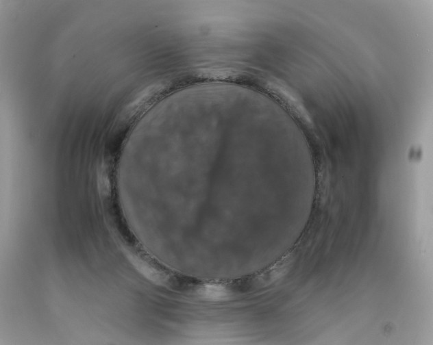 X0000091550114200709141524