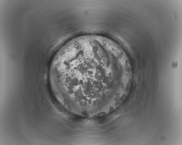 X0000091550115200709141524