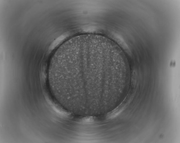 X0000091550116200709141524