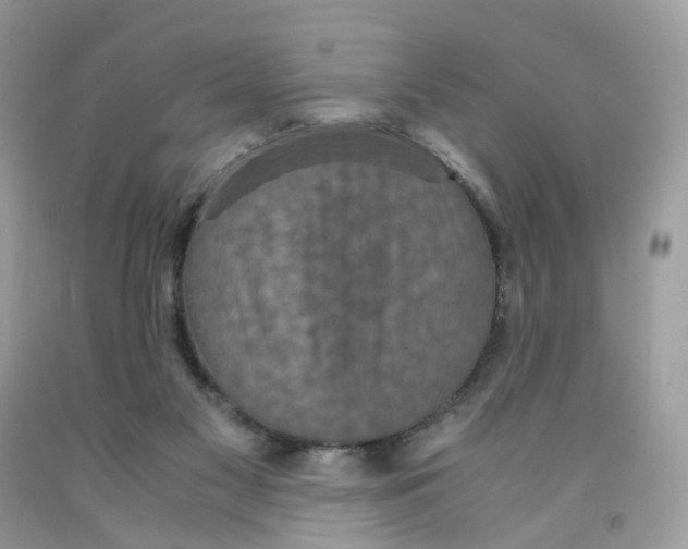 X0000091550117200709141524