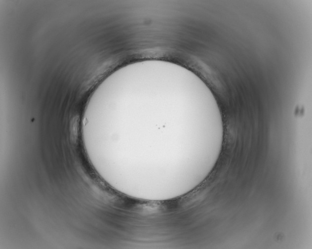 X0000091550118200709141523