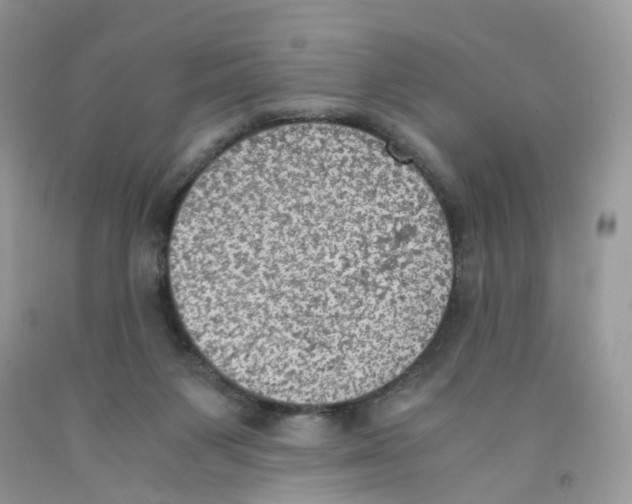 X0000091550119200709141523