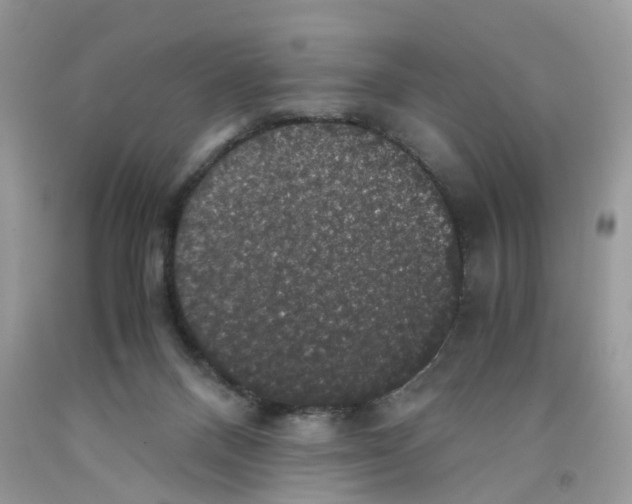 X0000091550120200709141523