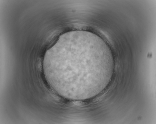 X0000091550121200709141523