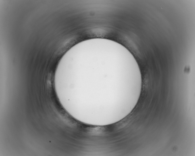 X0000091550122200709141523