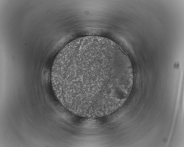 X0000091550123200709141523