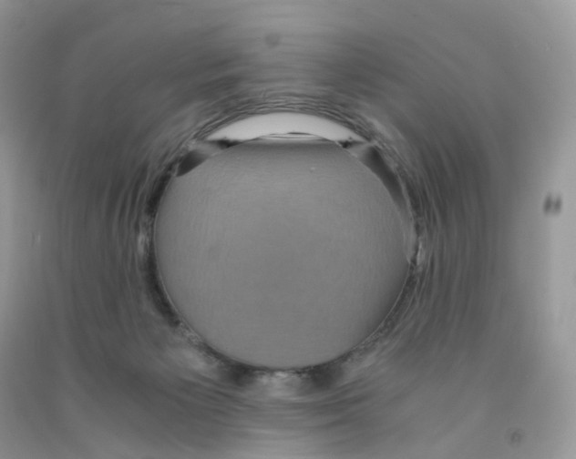 X0000091550125200709141523