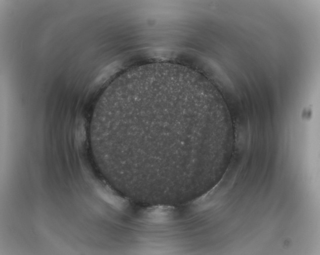 X0000091550128200709141523