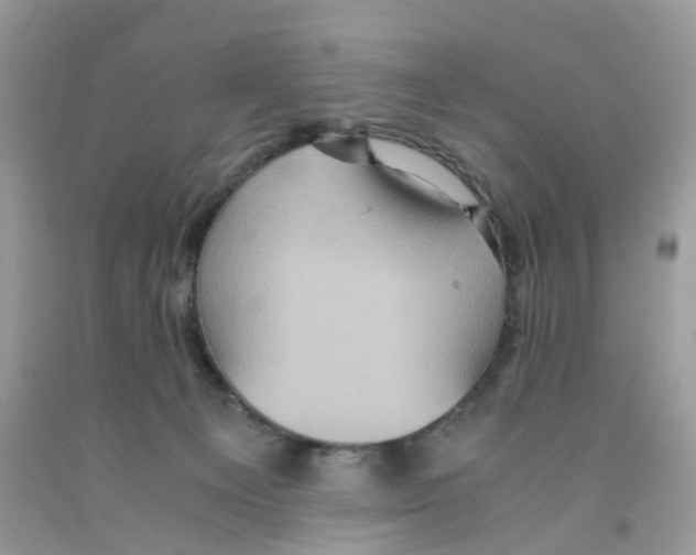 X0000091550129200709141523