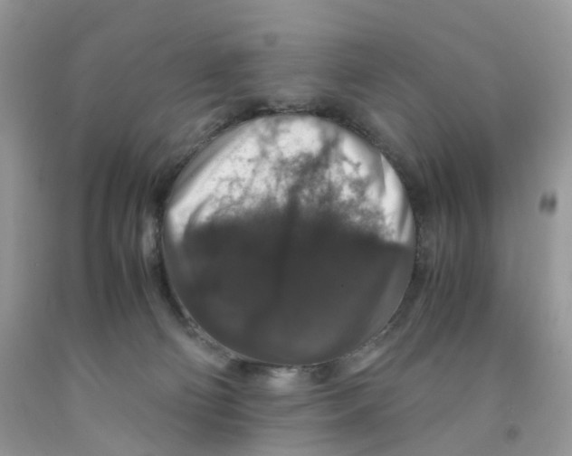 X0000091550130200709141523