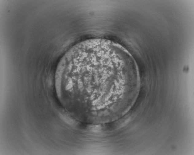 X0000091550131200709141523