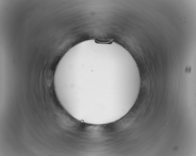 X0000091550133200709141523