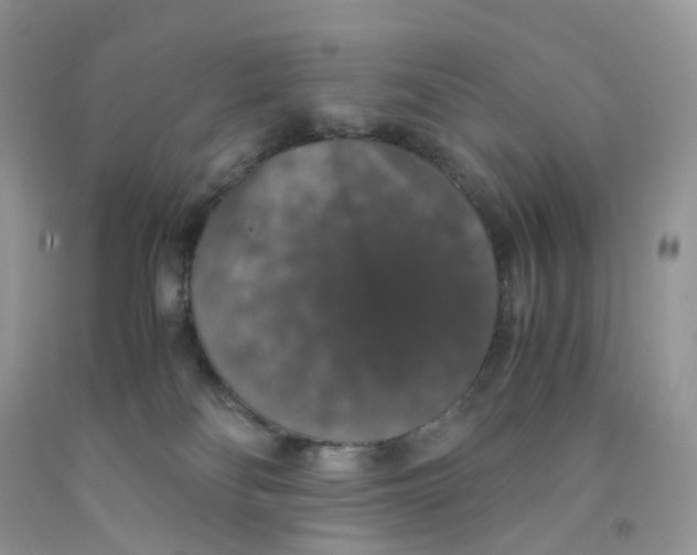 X0000091550134200709141523