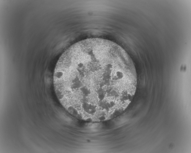 X0000091550135200709141523