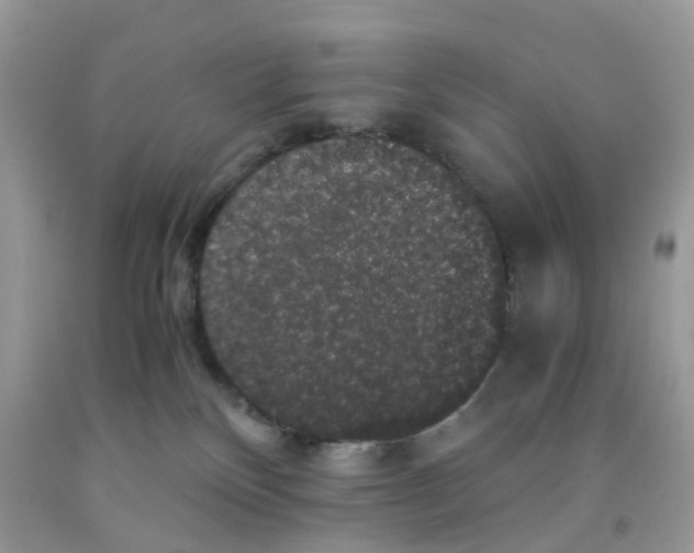 X0000091550136200709141523