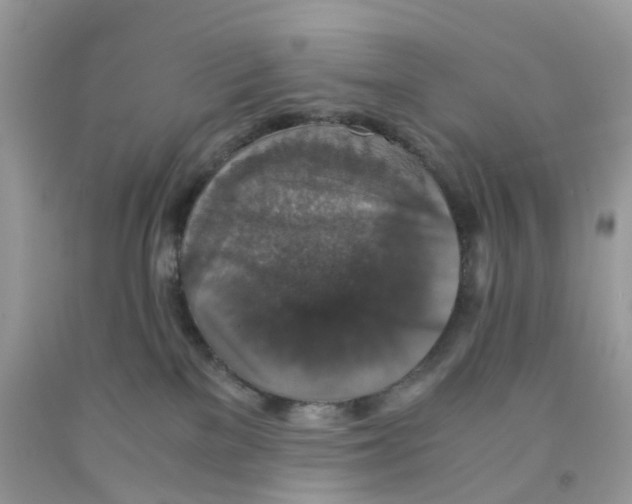 X0000091550137200709141523