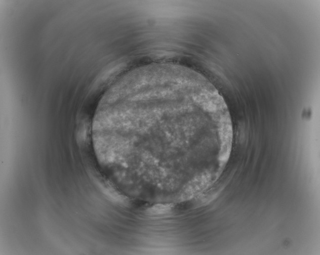 X0000091550138200709141523