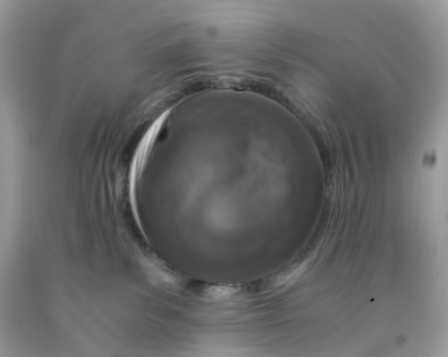 X0000091550139200709141523