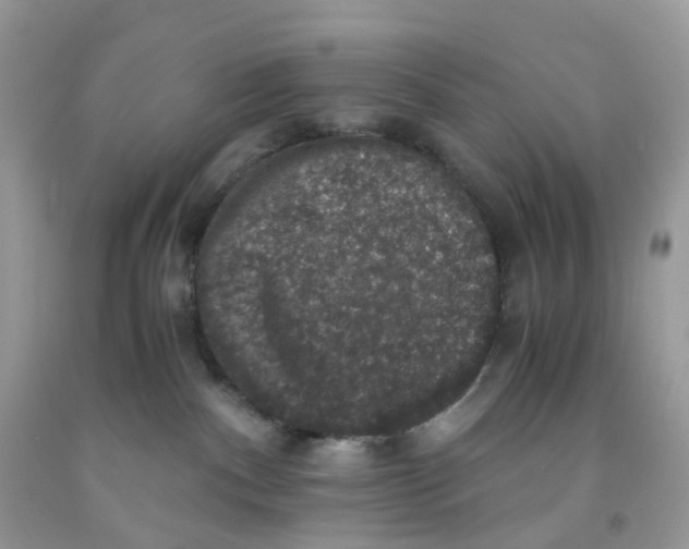 X0000091550140200709141523