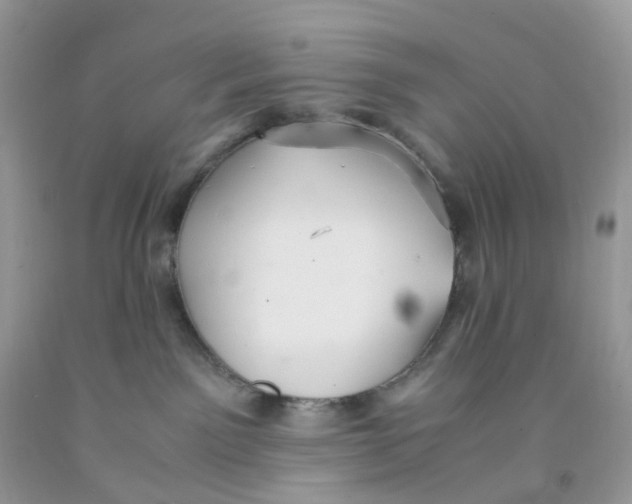 X0000091550141200709141523