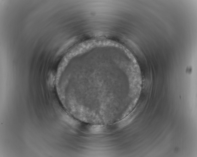 X0000091550142200709141523