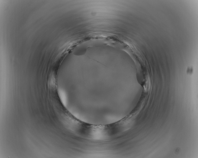 X0000091550143200709141523