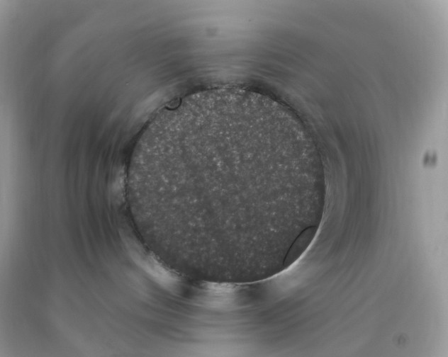 X0000091550144200709141523