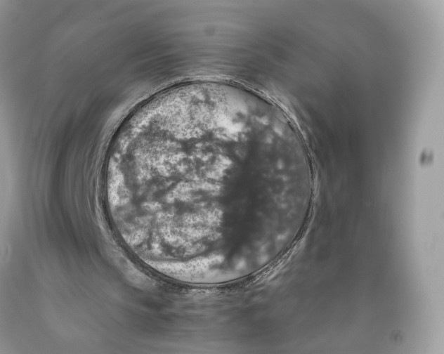 X0000091550145200709141522