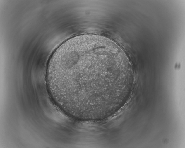 X0000091550146200709141522