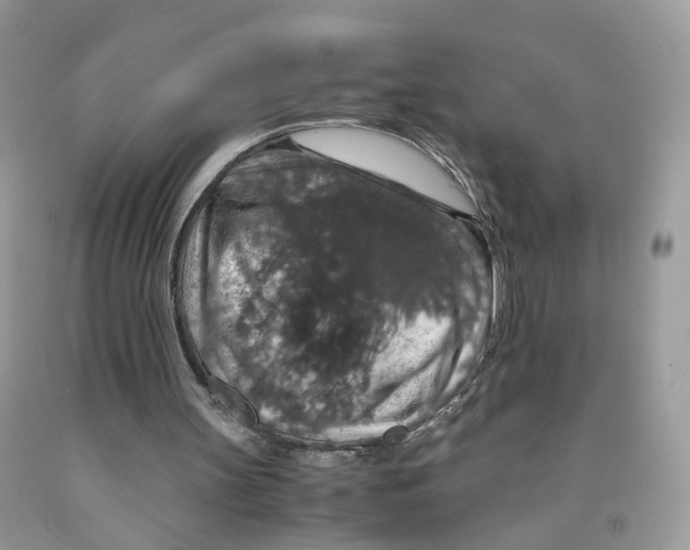 X0000091550147200709141522