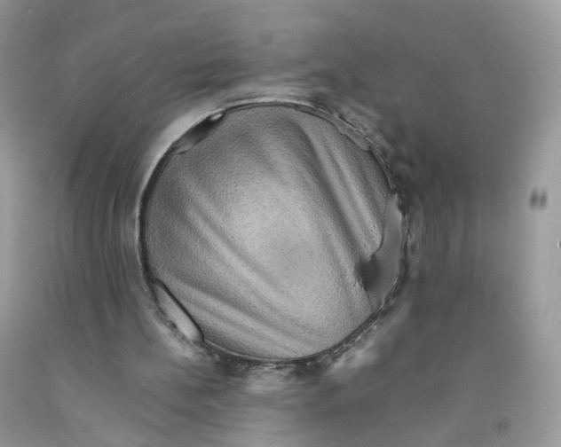 X0000091550148200709141522