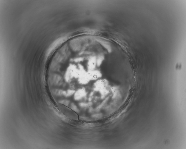 X0000091550149200709141522