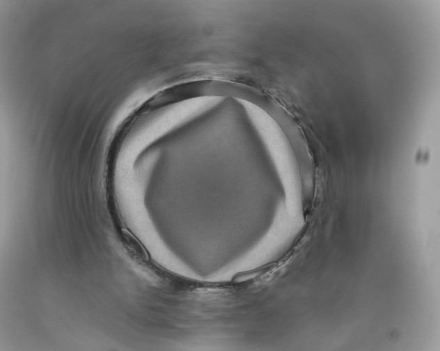 X0000091550150200709141522