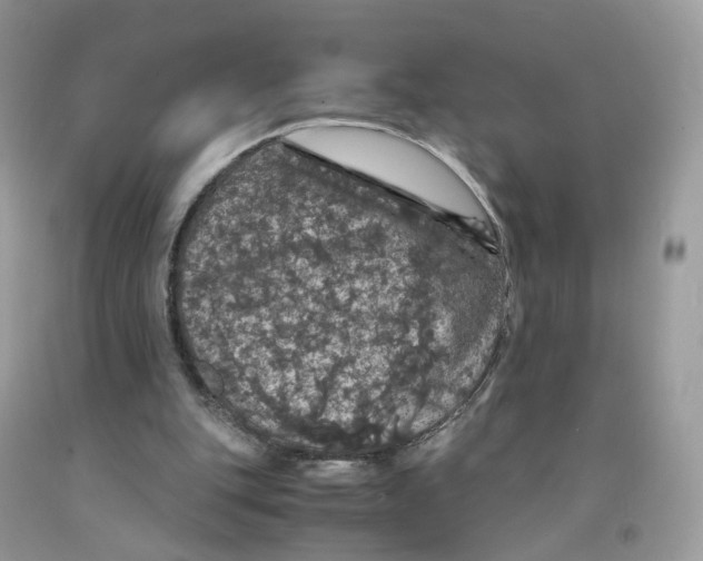 X0000091550151200709141522