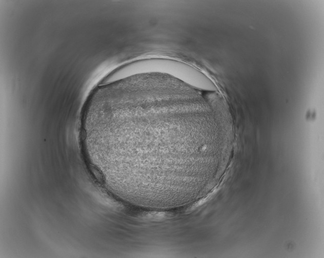 X0000091550152200709141522