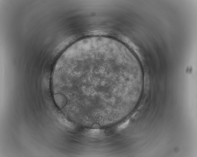 X0000091550153200709141522