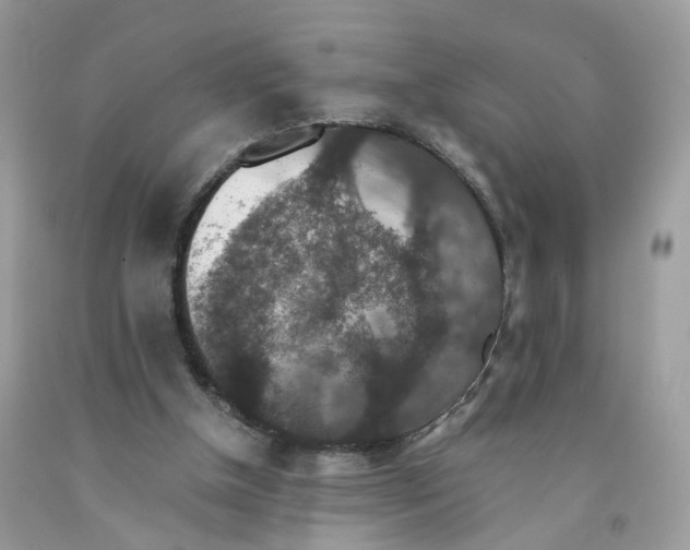 X0000091550154200709141523