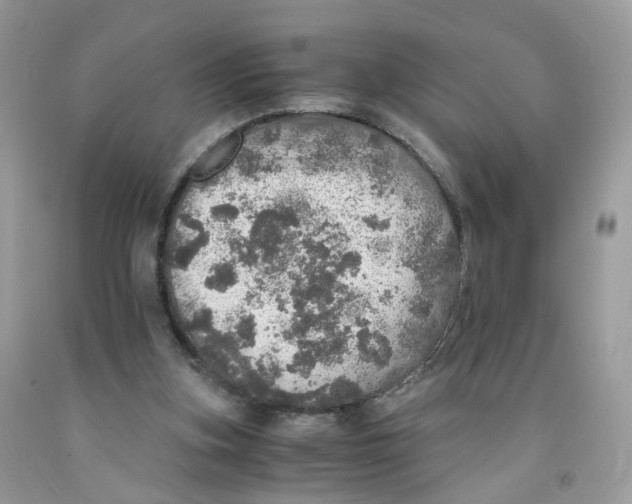 X0000091550155200709141523