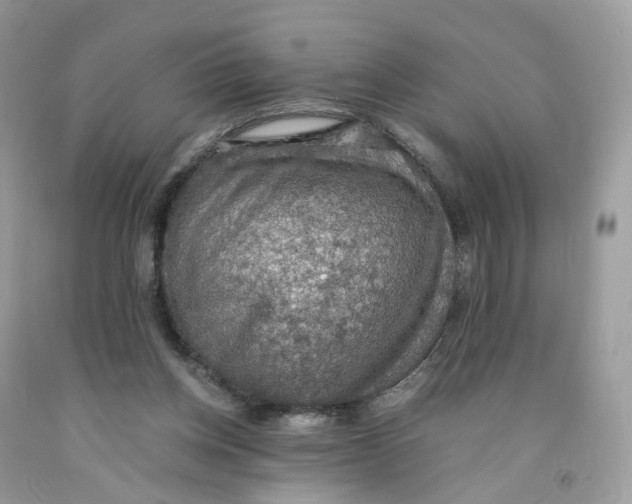 X0000091550158200709141523