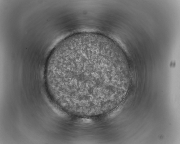 X0000091550159200709141523