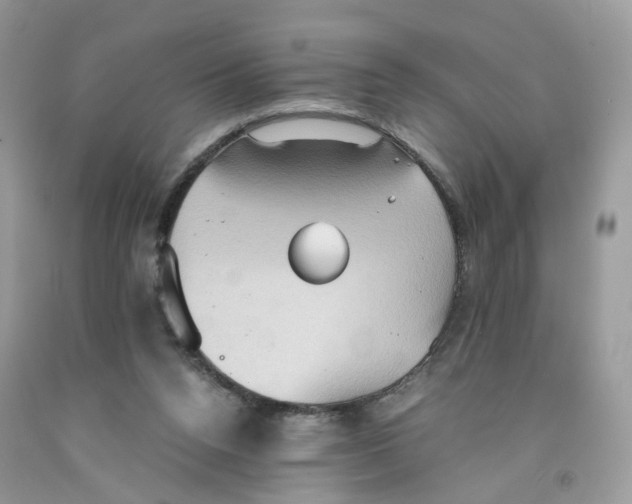 X0000091550160200709141523