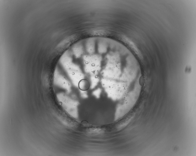 X0000091550161200709141523