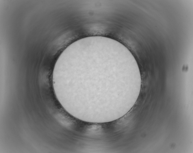 X0000091550162200709141523