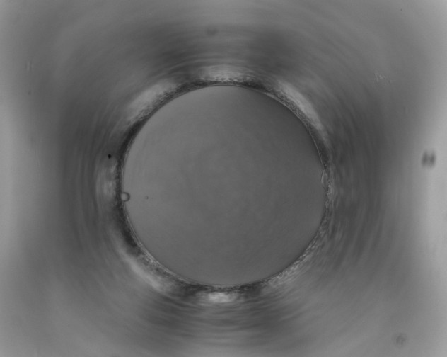 X0000091550163200709141523