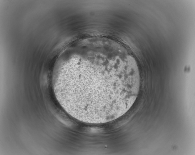 X0000091550165200709141523