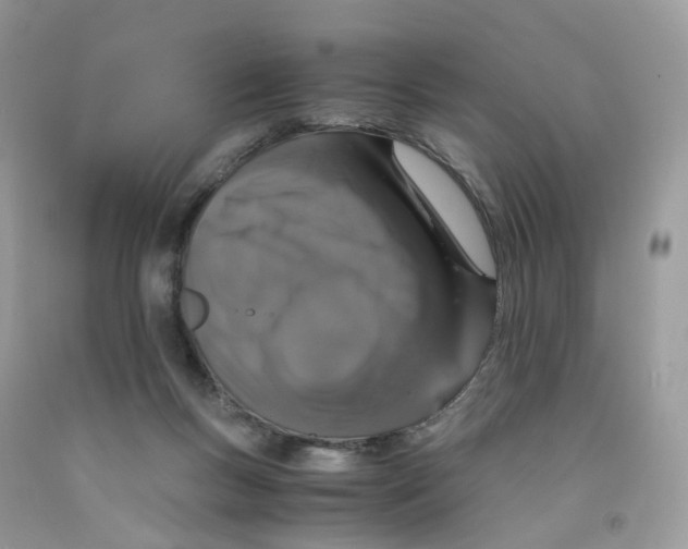 X0000091550167200709141523